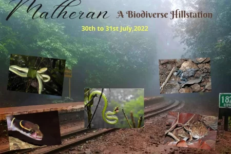 MATHERAN – A Biodiversity Rich Hillstation (30th to 31st July 2022) By Natureindia