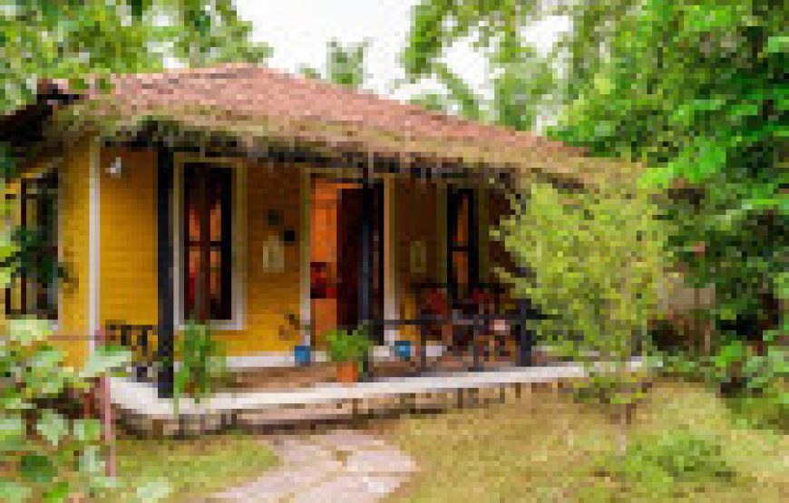 Delux Room at Tigergarh Wildlife Luxury Resort